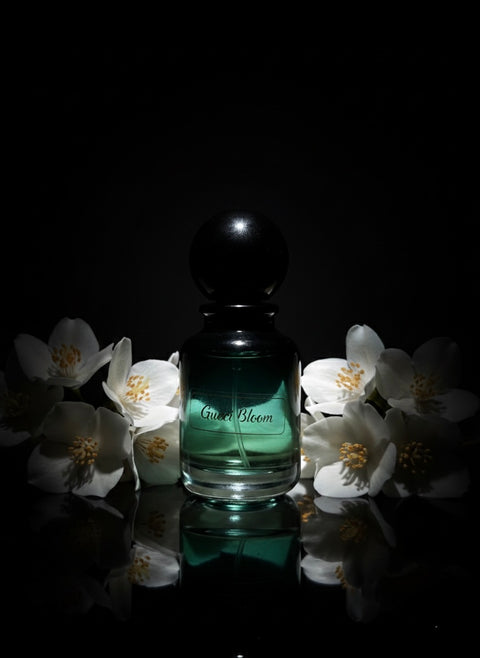 Gucci Bloom Eau de Parfum for Women – 100ml | Original Signature White Floral | 23-24Hours Long Lasting Premium Fragrance by DeepSense Media